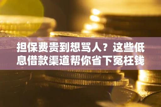 济南担保费贵到想骂人？这些低息借款渠道帮你省下冤枉钱