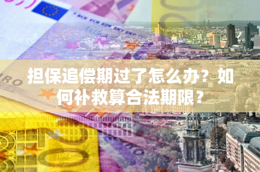 济南担保追偿期过了怎么办？如何补救算合法期限？