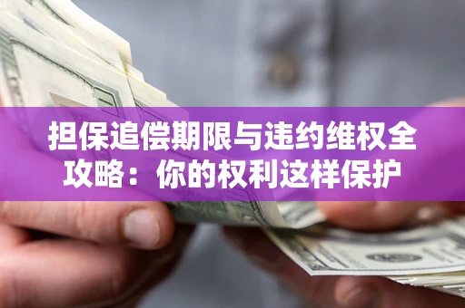 济南担保追偿期限与违约维权全攻略：你的权利这样保护